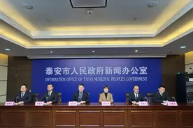 泰安以实干实效持续助推全市民营经济高质量发展图片