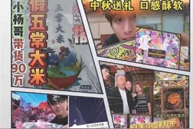 “三只羊”复业代价：罚了6894万 赔了2777万图片