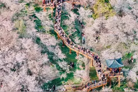 明起，闭园！明年见！图片