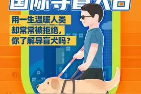国际导盲犬日丨用一生温暖人类却常常被拒绝，你了解导盲犬吗?图片