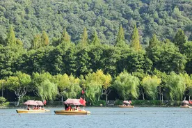 杭州西湖今天客流量将近百万，与2023年同比增长55.89%图片