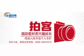 拍客镜头下的褐耳鹰图片