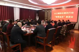 岱岳区山口镇：政税金企携手并进，共筑营商环境新高地图片