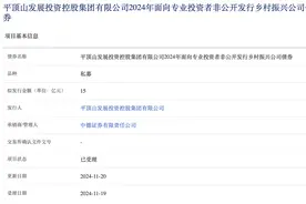 平顶山发投集团拟发行15亿元乡村振兴债，已获上交所受理图片