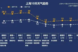 上海31年前出租车司机遇害案告破！顾村公园调整！飞沪航班掉头！一学校跳蚤泛滥！10岁男孩海漂一夜获救图片