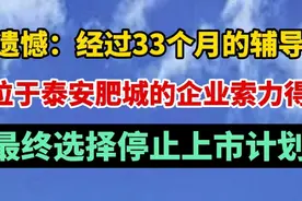 遗憾：经过33个月的辅导，泰安肥城企业索力得最终停止上市计划图片
