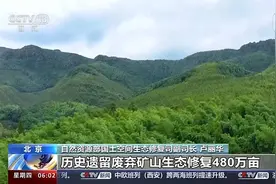 不毛之地→万亩绿洲 看沙漠复绿背后的金山银山图片