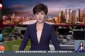 第六届进博会：世界三大拍卖行三度同台 展品悉数抵沪视频封面