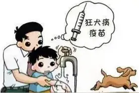 不可忽视的狂犬病，这些事情你知道吗？图片