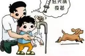 不可忽视的狂犬病，这些事情你知道吗？图片