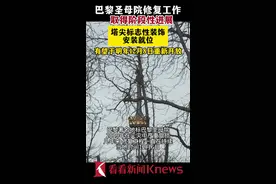 巴黎圣母院塔尖标志性装饰安装就位图片
