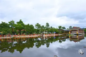 用音乐讲述云南丨勐巴娜西乐团把《向云端》唱响2024中国网络媒体论坛图片