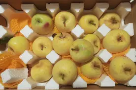 真假“黄金苹果”调查：标价相差十几倍，“冒牌货”混迹电商平台图片