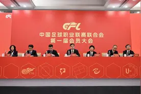 “中足联”挂牌成立，中国职业足球的春天来了？图片