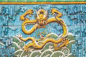 新知｜“C位出道”的“中华第一龙”图片