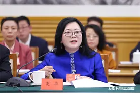 两会会客厅｜夏华代表：背着娃娃绣着花 养活自己富了家图片