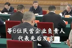 民营企业座谈会上，任正非、王传福、刘永好、虞仁荣、王兴兴、雷军等6位民营企业负责人代表发言图片