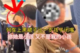 潮评丨高铁上婴童哭闹被女子怒吼，到底谁在制造噪音图片