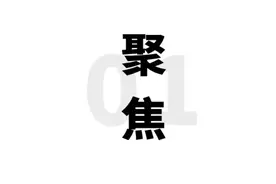 【8点见】云南瑞丽海关查获国家一级保护野生动物大砗磲图片