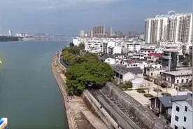 《古树名木保护条例》施行，看一看各地古树与城市如何跨越时空？图片