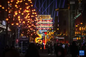 沈阳：彩灯迎春图片
