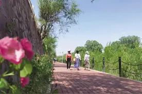 一座座城市小游园、口袋公园 “圈”起家门口的幸福版图图片