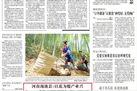 央媒观豫丨河南渑池县：以花为媒产业兴图片