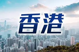 广东肇庆供港蔬菜基地：香港需要，我们尽力满足图片