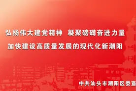 培育百亿元级优势产业集群 潮阳区主动融入“三新两特一大”产业发展新定位图片