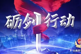 【砺剑行动】砺剑出鞘护稳定 严打整治保平安图片