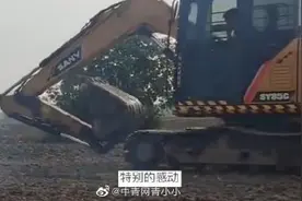 7名无名烈士遗骸迁移新陵园，挖机师傅操作挖机“鞠躬”向烈士致敬图片