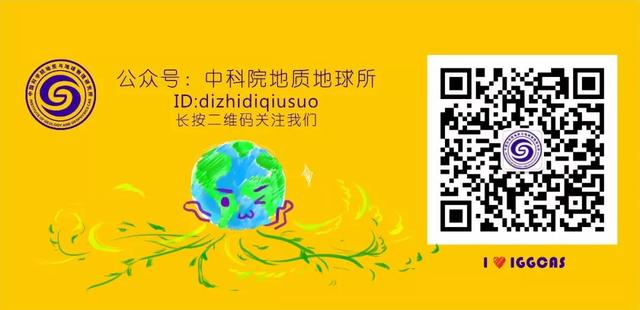 花胶蚝鼓 2026年花胶蚝干猪骨汤