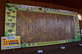 维舟：最早的日本——从三内丸山到吉野里的考古文化之旅图片