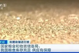 我国粮食库存正处于历史高位 小麦库存够全国人民吃一年半图片