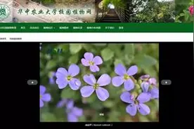 更好体验狮山之美，华中农大校园植物网上线图片
