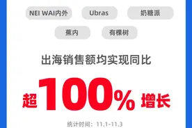 无尺码、无钢圈，主打“悦己”的中国新生代内衣品牌双11火到海外图片