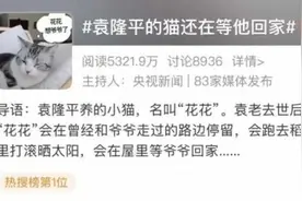 袁隆平的猫还在等他回家，网友看后破防了……图片