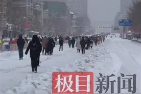 辽宁鞍山暴雪齐膝，公交出租车停运，市民开启走路上班模式图片