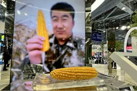 第四届进博会丨美好出行新图景是什么样？——来自进博会的交通产业新动向图片