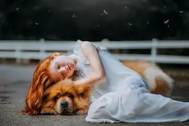和宠物一起睡到底好不好？科学家帮你认清利弊 Sleep with your pet? How that may affect you (and your pet)图片