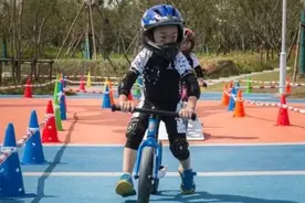 日本国民自行车“丸石”亮相进博会，为何展位上烙着上海“凤凰”的标识？图片