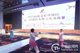 两岸云端演武共扬太极文化 2021河北文化宝岛行启幕图片