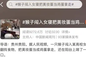 猴子闯进高校宿舍偷美妆蛋？网友评论亮了图片