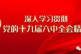 我为群众办实事 | “鸡毛蒜皮”的一天图片