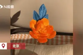 “宝藏小姨”藏不住了！还没出生就已经受尽她的宠爱图片