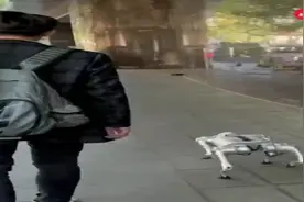 网络爆红的机器狗，谁是它们的主人？图片