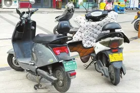 同款车“不同命”，黄牌能否换绿牌？图片