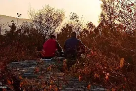 夕阳下，一对老人相依相偎，老来伴儿，真美图片