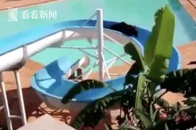 巴西待宰牛逃离牧场 跑到水上乐园滑滑梯被卡住图片