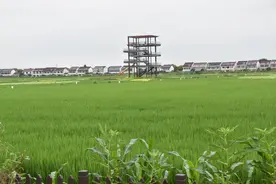 苏南农村新事｜乡村频现“观光塔”图片